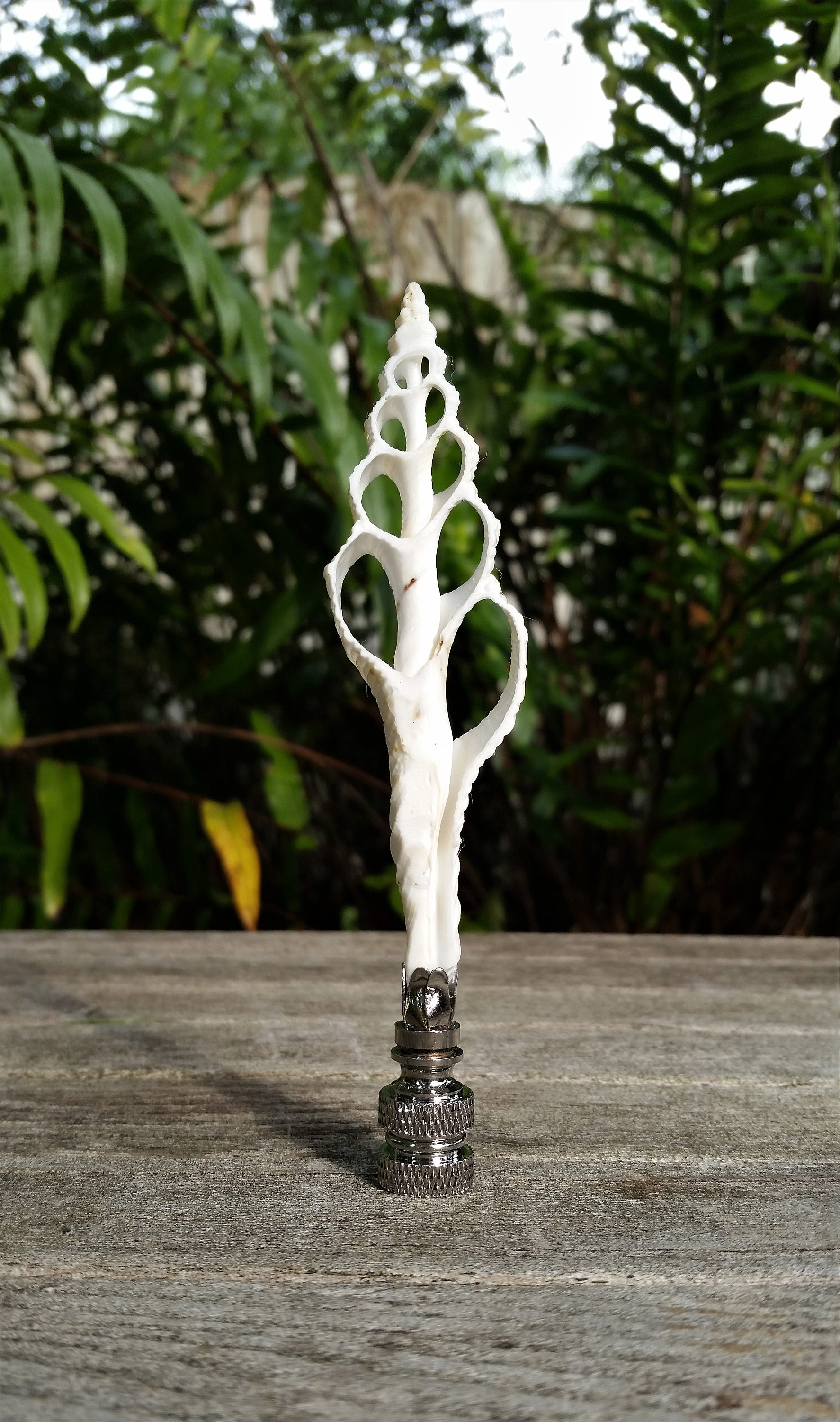 Sea Shell Lamp Finial, Tall Off White Spindle
