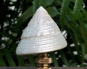 Sea Shell Lamp Finial, Pearl White