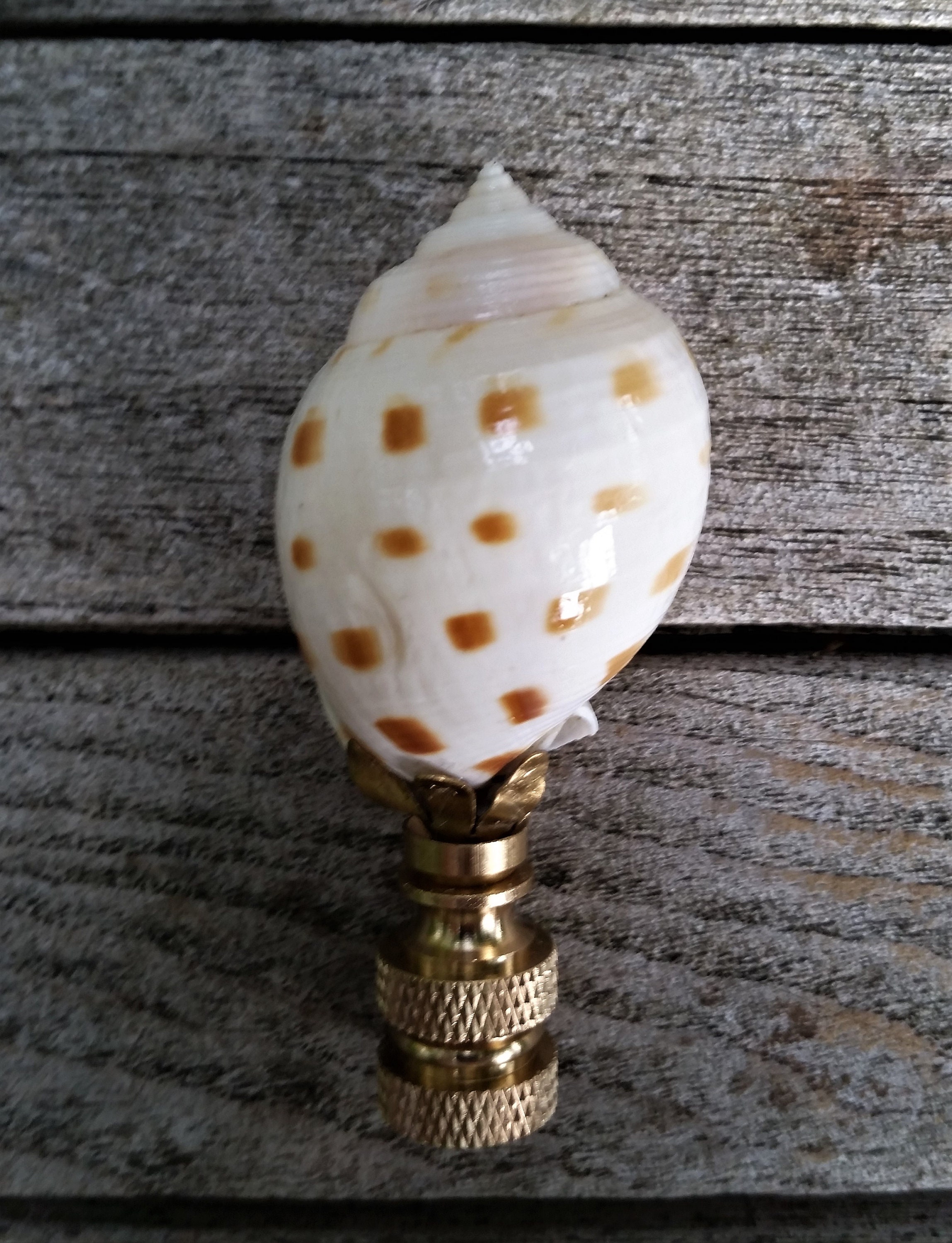 Sea Shell Lamp Finial, Off White Brown Specks