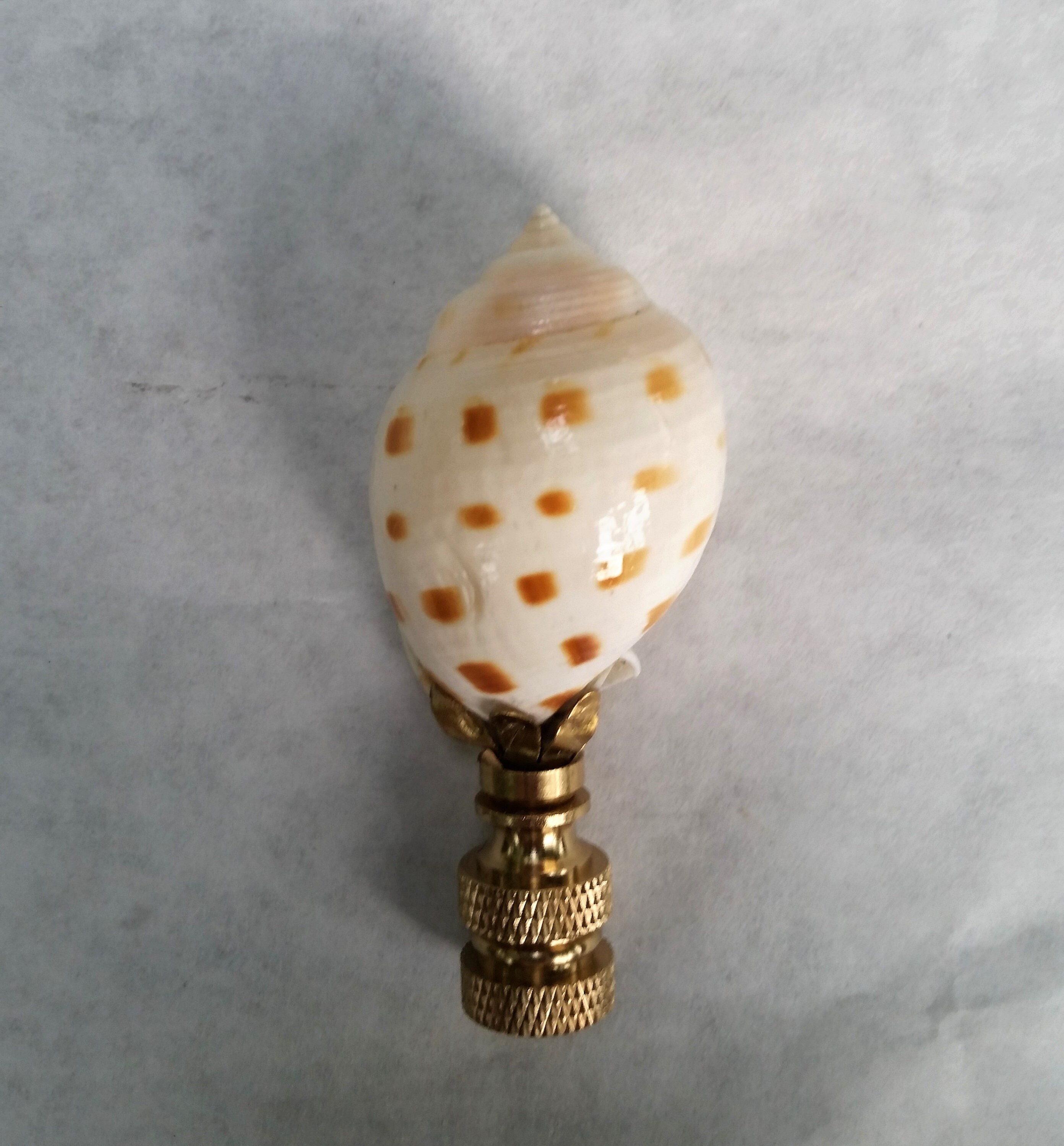 Sea Shell Lamp Finial, Off White Brown Specks