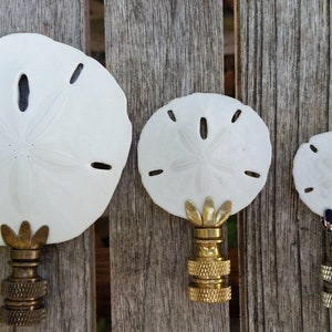 B&P Lamp Sand Dollar Finial - Brass 2.5" Height 1/4-27 Tap