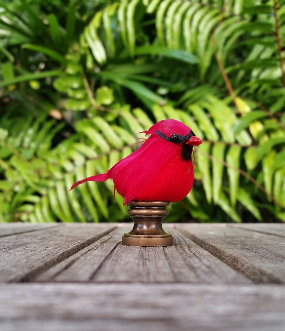 Red cardinal lamp online