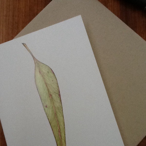 Eucalyptus Leaf - Blank card