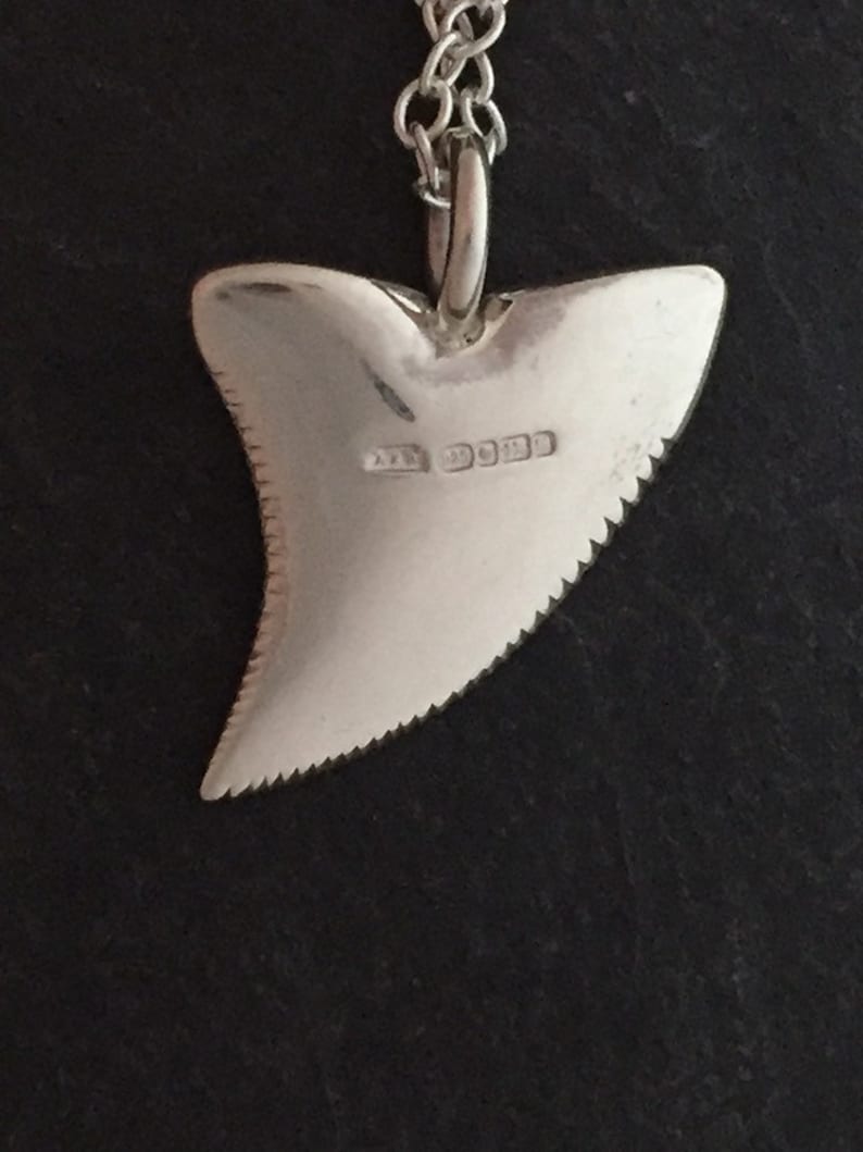 Shark Tooth Necklace in Sterling Silver 925 Great White Shark Etsy