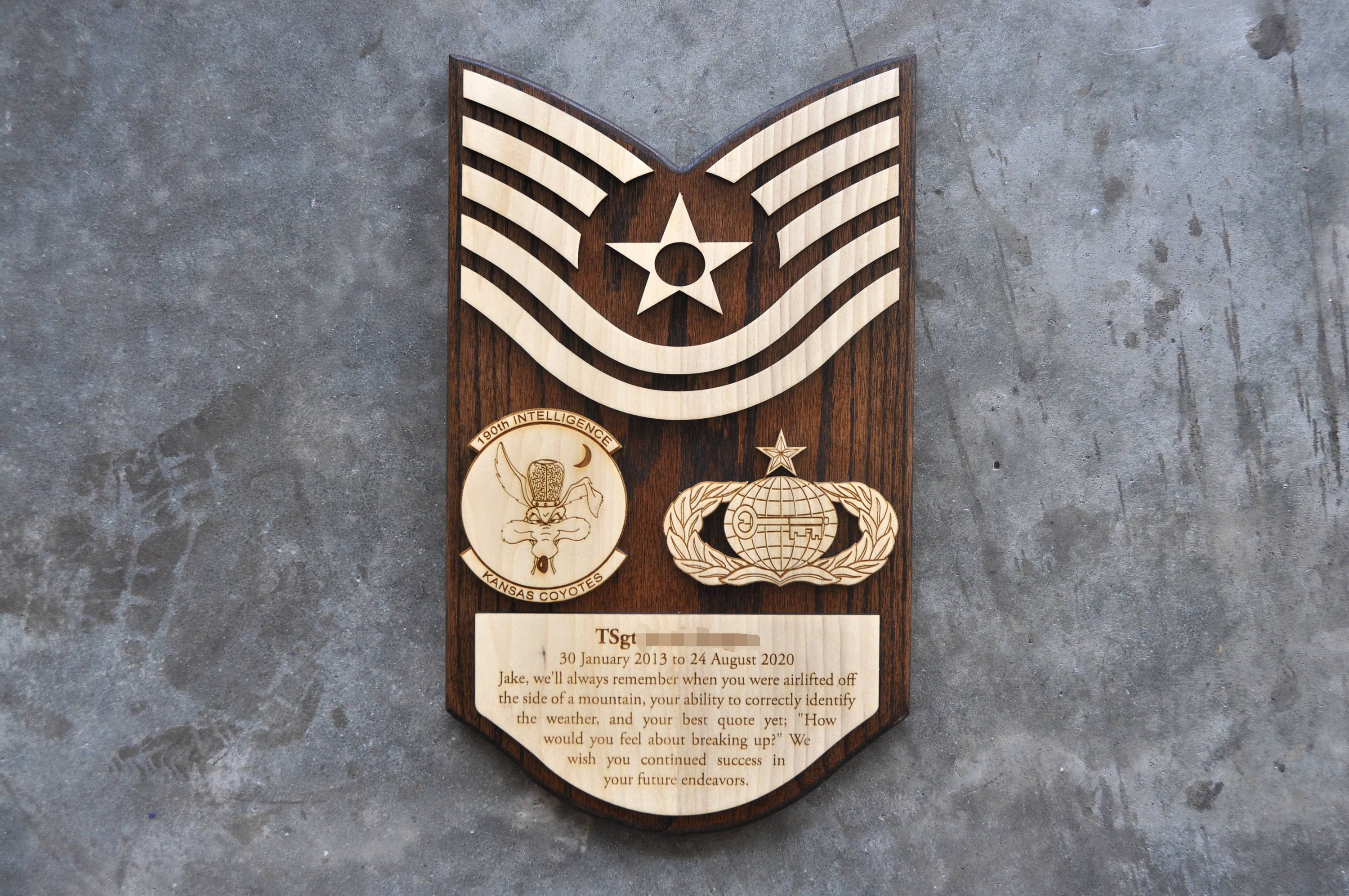 Air Force Going Away Plaque Etsy