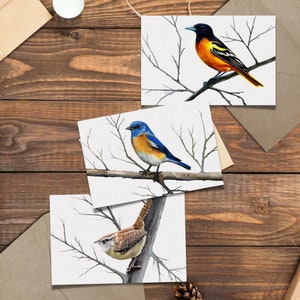 Paquete de tarjetas de felicitación de bellas artes: Baltimore Oriole, Carolina Wren, BlueBird