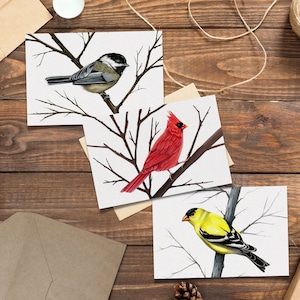 Paquete de tarjetas de felicitación de bellas artes: Cardenal, jilguero, Chickadee