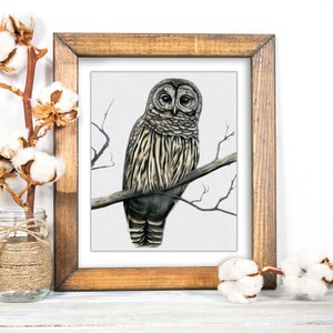 Barred Owl Giclée Fine Art Print