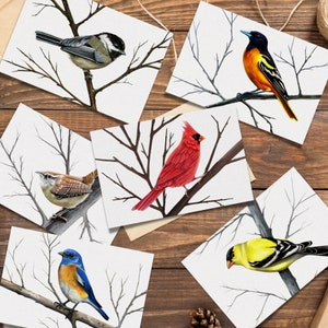 Tarjetas de felicitación de bellas artes: Aves norteamericanas, Cardenal, Jilguero, Chickadee, Carolina Wren, Oriole de Baltimore, Bluebird