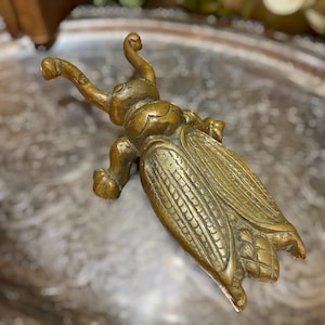 May include: A solid brass figurine shaped like a beetle with prominent antennae, a segmented head, and detailed wing covers featuring etched linear patterns. The insect sculpture has a metallic gold-toned finish with a smooth, polished surface texture.
