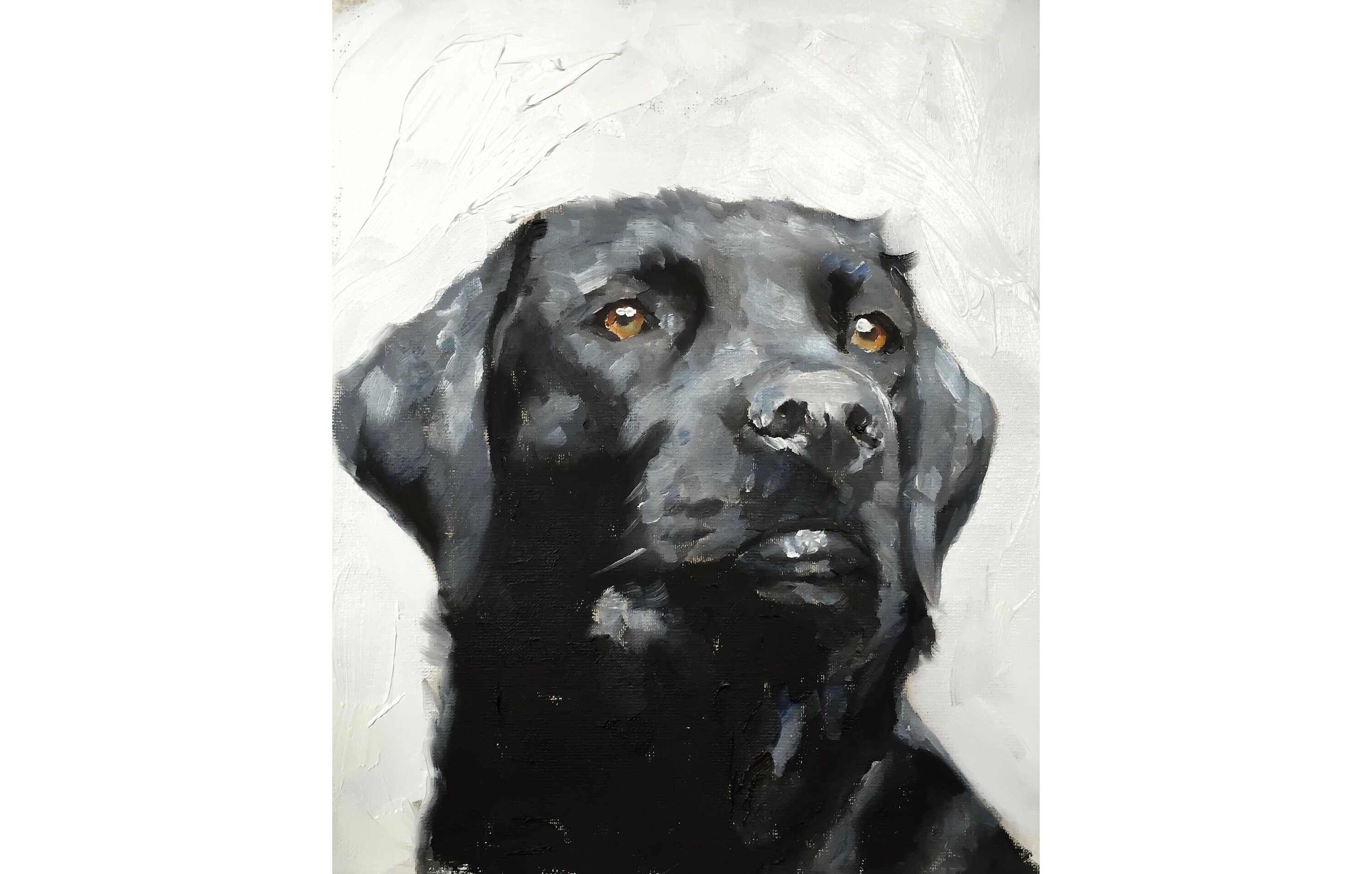Black Labrador Art print, Black Lab, Canvas Wall Art, Black Labrador