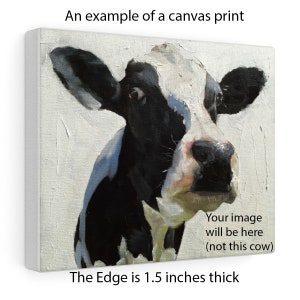 May include: A close-up of a black and white cow's face, painted in a realistic style on a canvas. The canvas has a textured surface and a 1.5 inch thick edge. The text "Your image will be here (not this cow)" is printed below the cow's face.