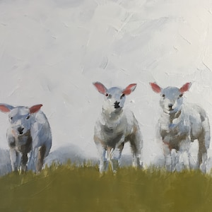 Sheep Painting: Fine Art Print on Canvas by James Coates