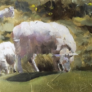 Sheep Fine Art Print, Original Oil Painting by James Coates