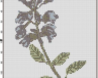 Simply Art (c) Cuadro de patrones de punto de cruz "Salvia officianalis (salvia común)"