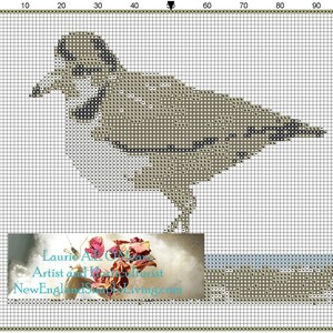 Simply Art (c) Cross Stitch  "The Piping Plover" Pattern Chart