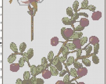 Simply Art (c) Cuadro de patrones de punto de cruz "Vaccinium macrocarpon (arándano)"