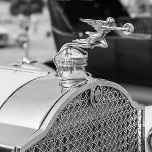 1929 Packard hood ornament, Packard wall art, Packard car decor, antique automobile art, classic car wall art, car enthusiast gift, man cave