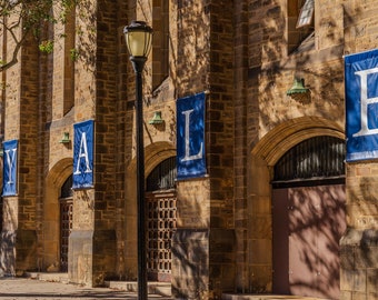 Yale University Canvas Art Print: New Haven, CT - Alumni Gift