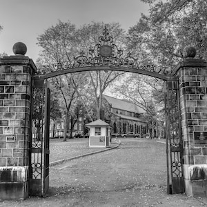 Rutgers University 1883 Gate Print: Scarlet Knight Alumni Gift