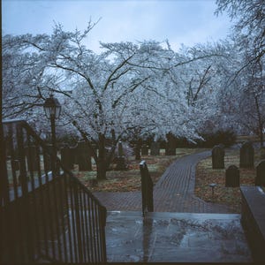 Cemetery Entrance Photography: Spooky Halloween Wall Art