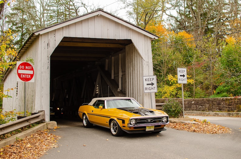 Ford Mustang gift, Ford Mustang Mach 1, Dad gifts, Fathers day gift, Ford Mustang art, Man cave wall art, Ford Mustang decor, Muscle car art image 1