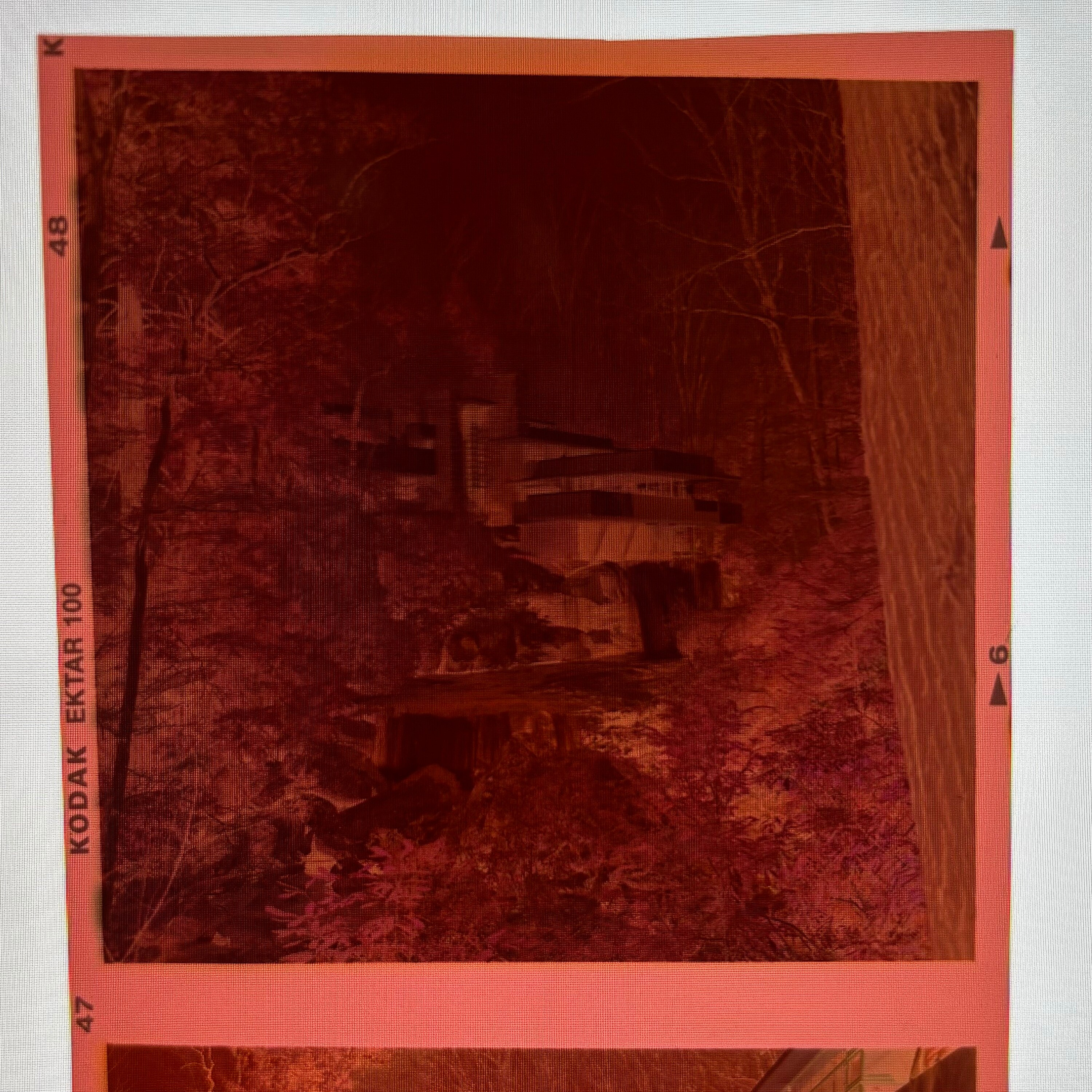 Fallingwater Print: Frank Lloyd Wright Architecture Photography - Etsy