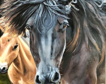 CANVAS PRINT of “Newfoundland Pony Avi" 20 x 24 inch painting