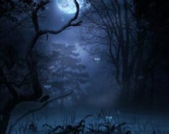 Mediumship - Is Your Home or Building Haunted?