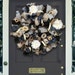 Collections by KG