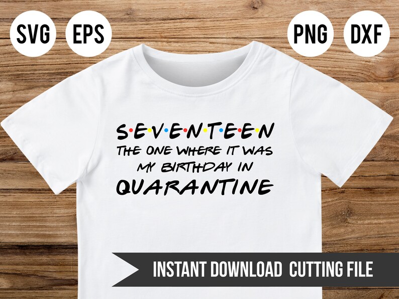 Download Quarantine Birthday Svg 17th Birthday 2020 Svg Seventeen ...