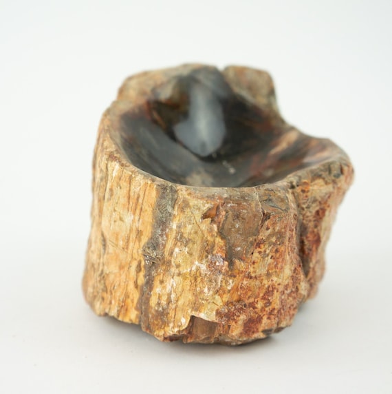 Vintage Petrified Wood Ashtray 1950s | Fossil Mineral Tray