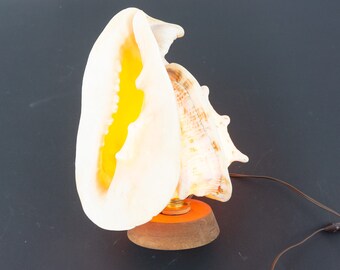 Vintage Seashell Lamp 1950s | Giant Queen Conch Lighting