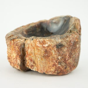 Vintage Petrified Wood Ashtray 1950s | Fossil Mineral Tray from Madagascar | Natural Curiosity Object | Mid-Century Decorative Piece