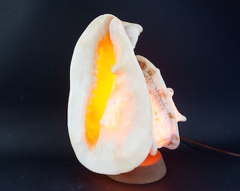 Vintage Seashell Lamp 1950s | Giant Sea Shell Table Lamp | King Helmet Strombus Gigas | Queen Conch | Curiosity | Mid Century Decor