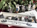 High Quality Australian Animal Felt Finger Puppet Gift Set