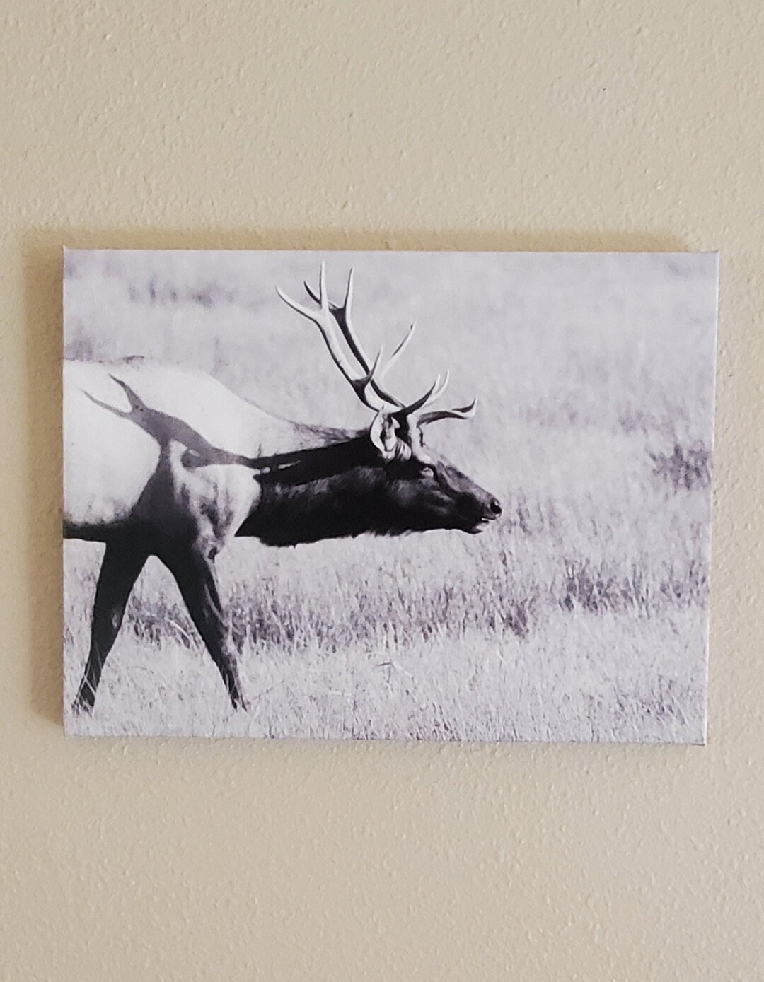 Black and White Elk Head Wall Art Photo Canvas Etsy