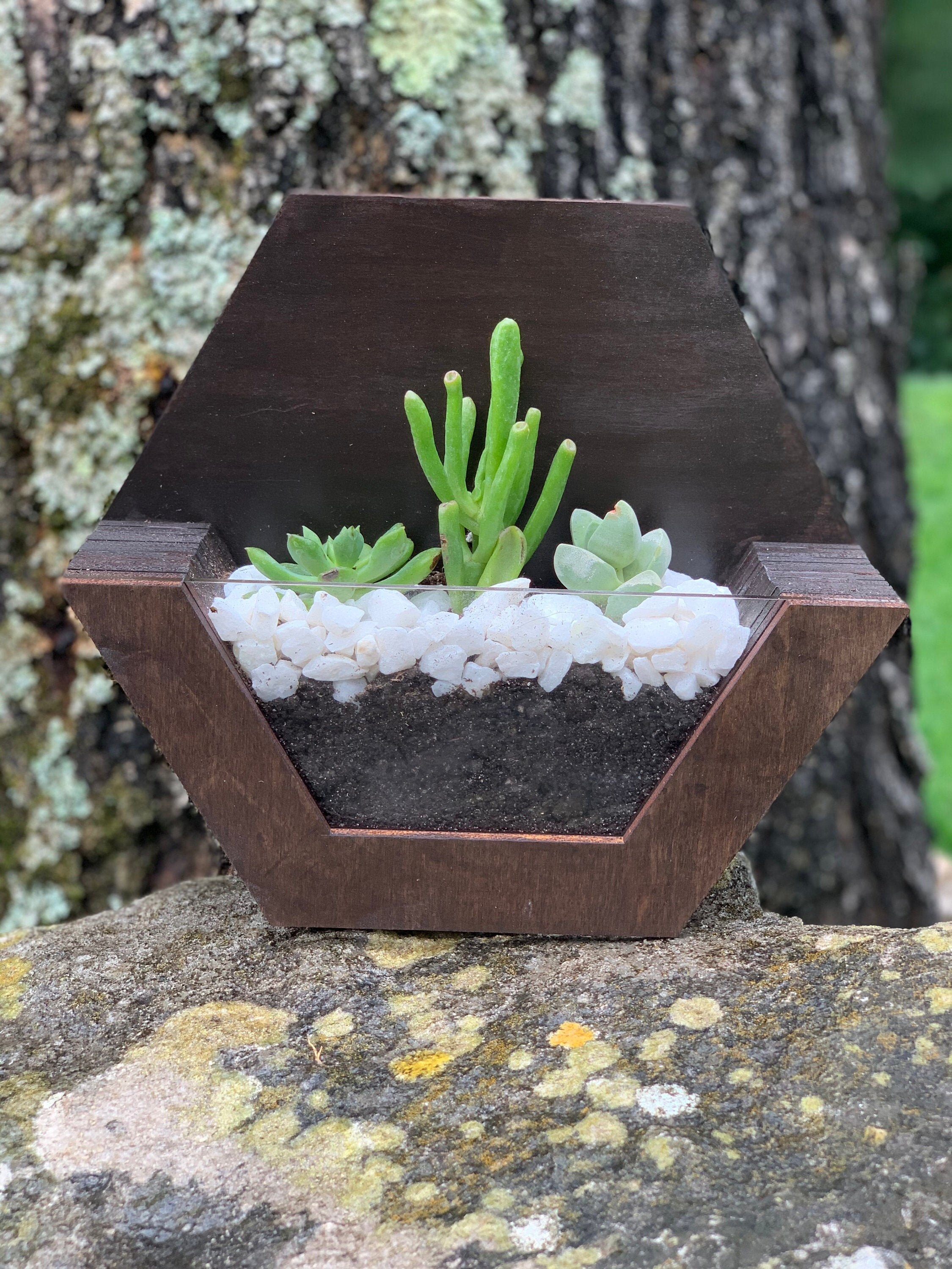 Hexagon Terrarium SVG Laser Ready