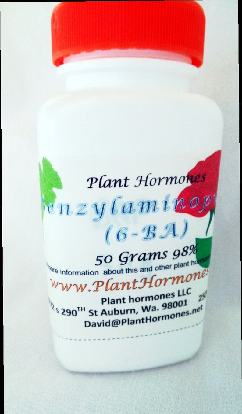 Benzylaminopurine 6BA Synthetic Plant Hormone Etsy
