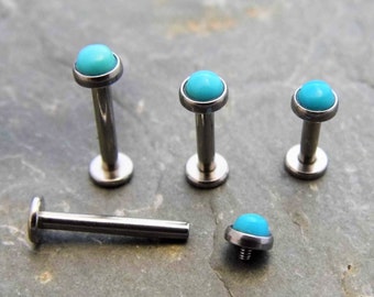 Clou labret turquoise d'Arizona - Acier chirurgical - 14G ou 16G - Cartilage Tragus Helix Conch Monroe