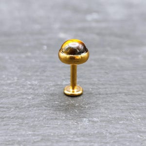 Labret de oro con ojo de tigre - Piedra preciosa de 5 mm - Acero 316L - Parte trasera plana - Calibre 16