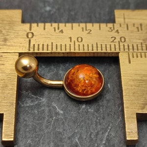 Amber Belly Bar - Gold 316l Steel - 4 bar lengths - 14 gauge - Belly Ring