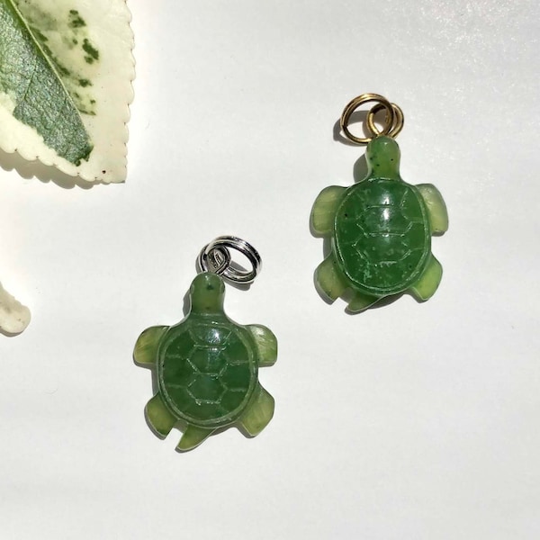 Canadian Jade Turtle Charm, 15mm