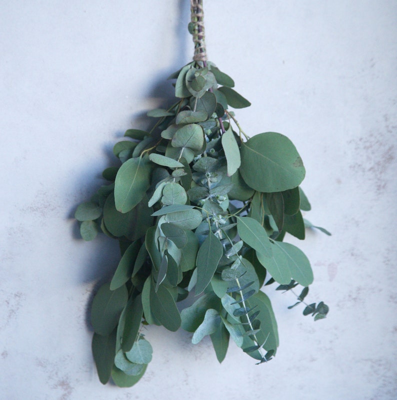Natural Shower Eucalyptus Bunch With Dried Lavender Shower - Etsy