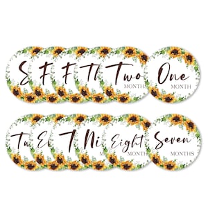Zonnebloem maandelijkse mijlpaal Disc Set | Zonnebloemkwekerij decor | Bloemen foto prop | Babycadeauset | Markers voor 1-12 maanden | F2