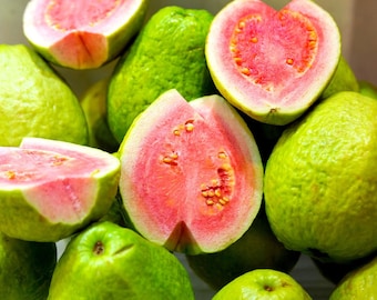 Hawaiian Guava Fruit  Seeds - 1 Pack