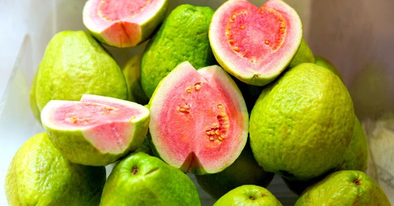 Hawaiian Guava Fruit  Seeds - 1 Pack