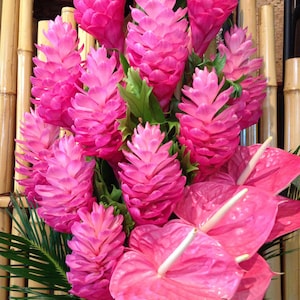 May include: A vibrant arrangement of pink ginger flowers and anthuriums. The ginger flowers have a cone-like shape, and the anthuriums have heart-shaped petals with white spadices. Green leaves and bamboo stalks provide a natural backdrop.