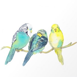 Budgie family - budgie watercolor - budgie print -digital download - parakeets