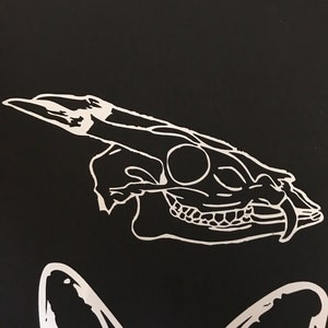 Muntjac skull decal